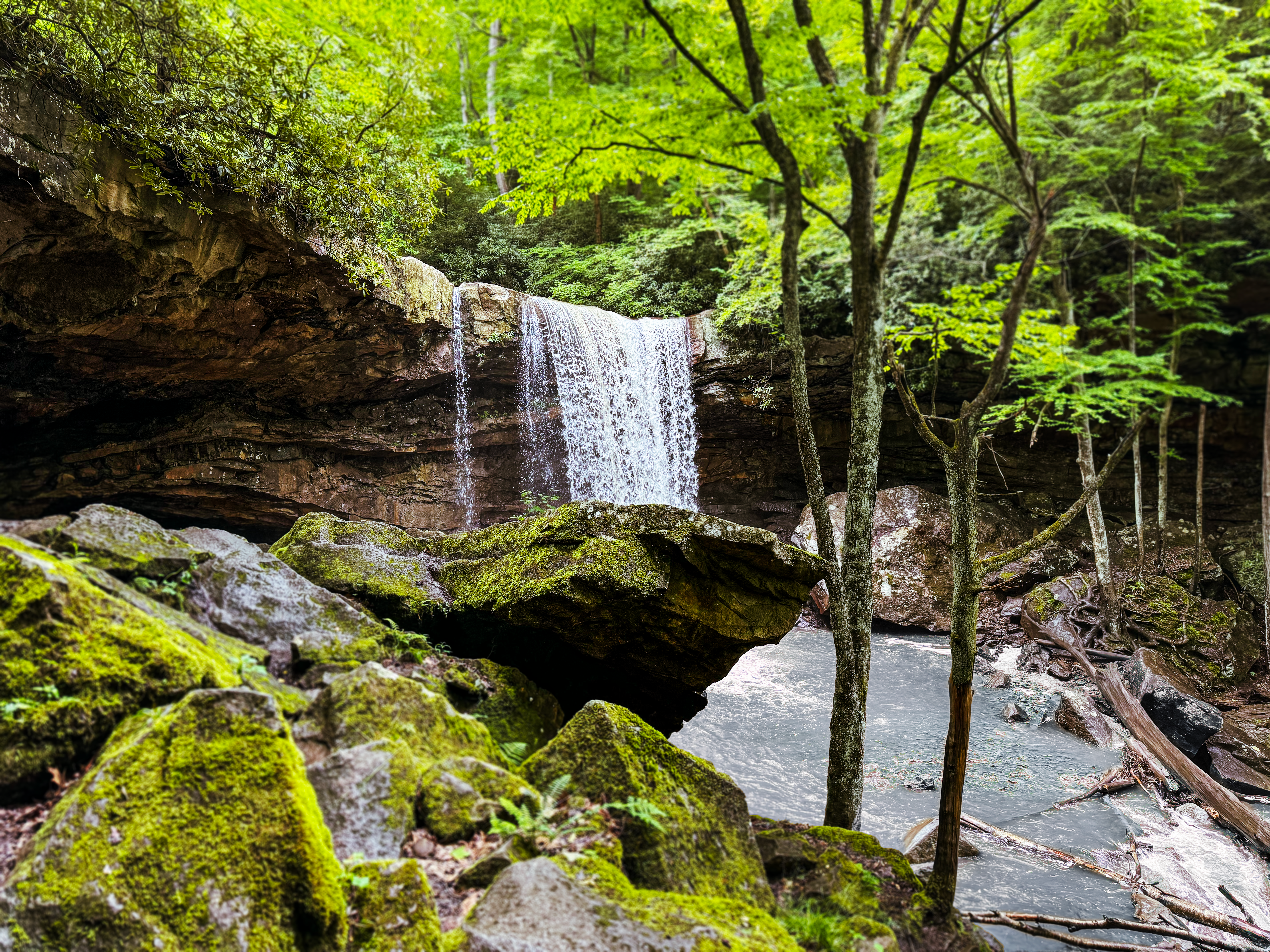 CucumberFallsWithRocks@OPSP